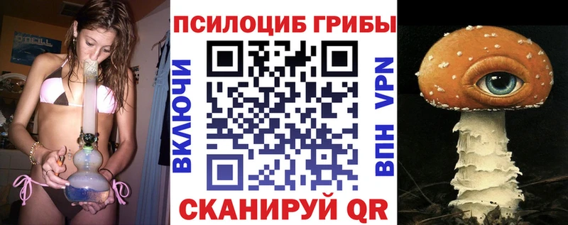дарнет шоп  Кандалакша  Псилоцибиновые грибы мицелий 